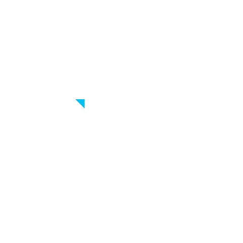 North Logo