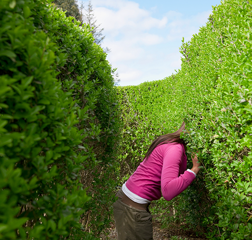 woman-sticking-head-in-hedge-of-maze