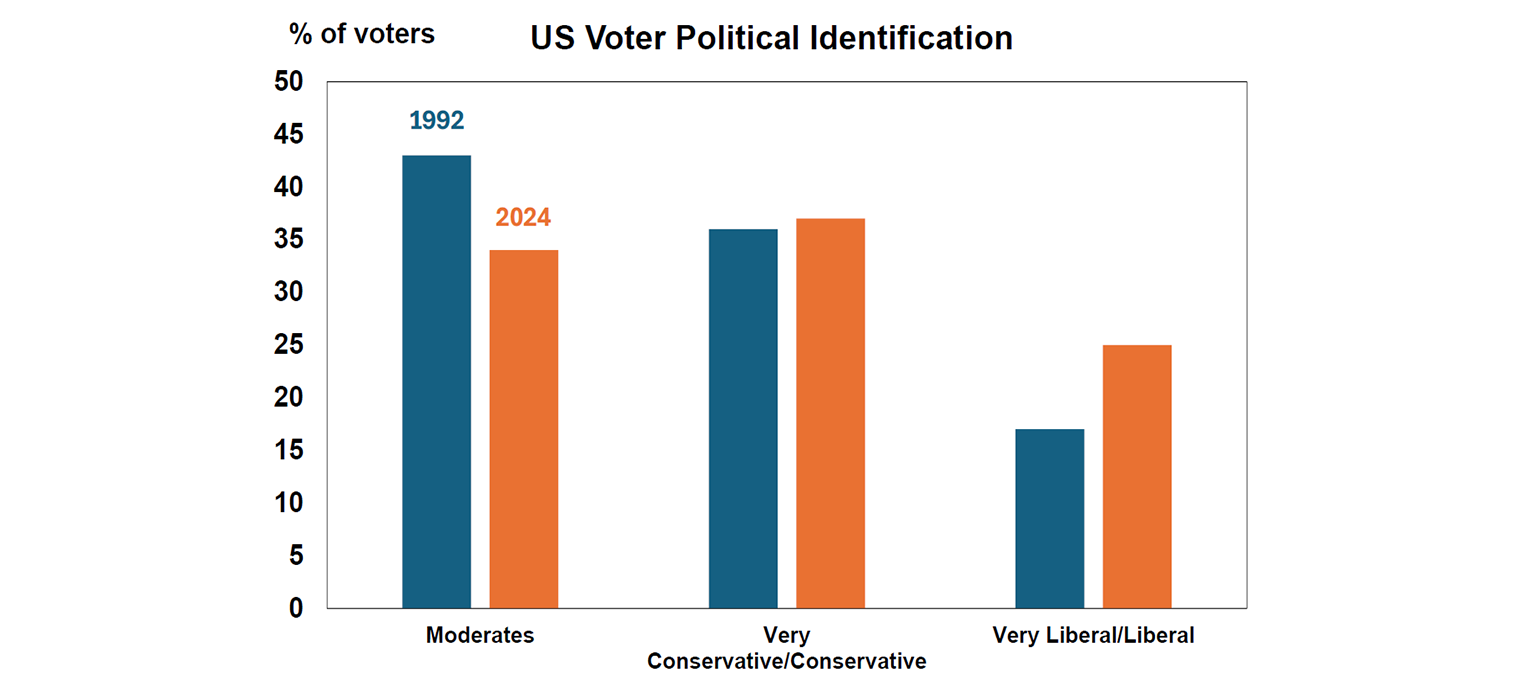 US Voter Political Identification