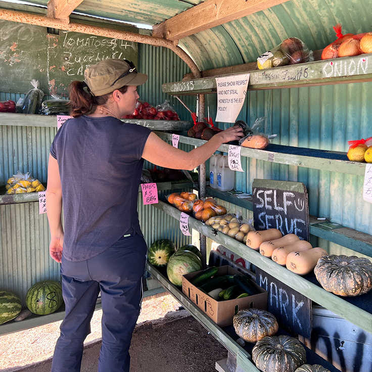 A woman checks out the produce on a roadside stall